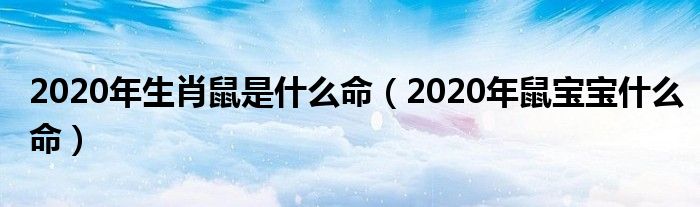 2020年生肖鼠是什么命（2020年鼠宝宝什么命）