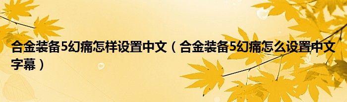 合金装备5幻痛怎样设置中文（合金装备5幻痛怎么设置中文字幕）