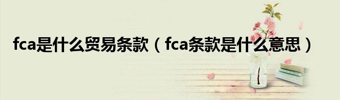 fca是什么贸易条款（fca条款是什么意思）