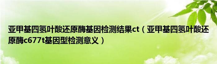 亚甲基四氢叶酸还原酶基因检测结果ct（亚甲基四氢叶酸还原酶c677t基因型检测意义）