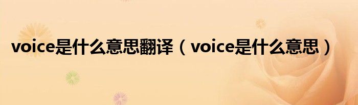 voice是什么意思翻译（voice是什么意思）