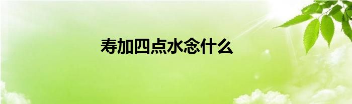 寿加四点水念什么