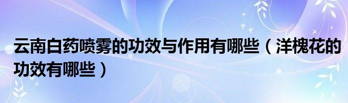 云南白药喷雾的功效与作用有哪些（洋槐花的功效有哪些）