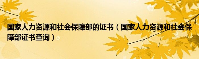 国家人力资源和社会保障部的证书（国家人力资源和社会保障部证书查询）