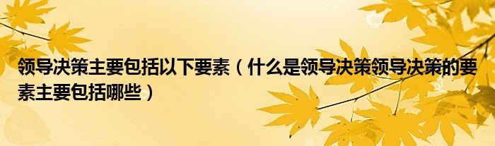 领导决策主要包括以下要素（什么是领导决策领导决策的要素主要包括哪些）