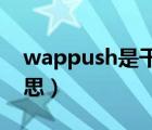 wappush是干怎么的（wap push是什么意思）