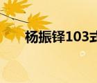 杨振铎103式全部教学视频（杨振铎）