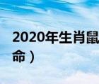 2020年生肖鼠是什么命（2020年鼠宝宝什么命）