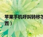 苹果手机呼叫转移怎么设置不了（苹果手机呼叫转移怎么设置）