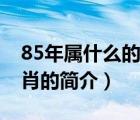 85年属什么的生肖（说一说85年属什么的生肖的简介）