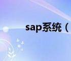 sap系统（说一说sap系统的简介）