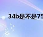 34b是不是75B.文胸（34b是不是75b）