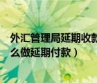 外汇管理局延期收款申报怎么操作（国家外汇管理局平台怎么做延期付款）