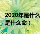 2020年是什么命年是什么颜色的鼠（2020年是什么命）