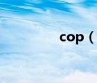 cop（说一说cop的简介）