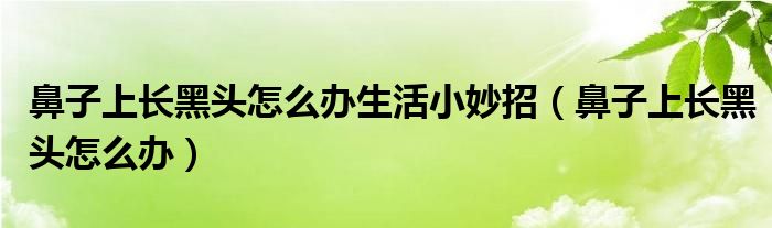 鼻子上长黑头怎么办生活小妙招（鼻子上长黑头怎么办）