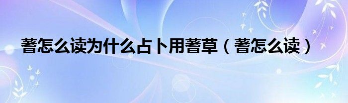 蓍怎么读为什么占卜用蓍草（蓍怎么读）