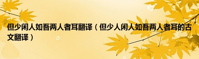 但少闲人如吾两人者耳翻译（但少人闲人如吾两人者耳的古文翻译）