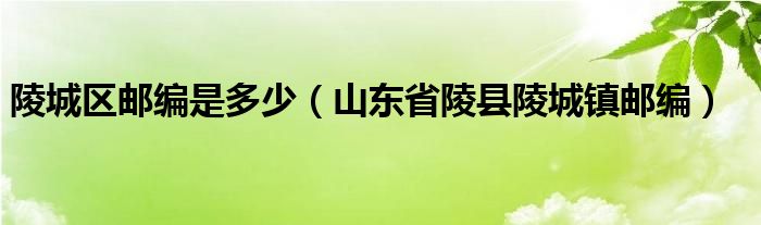 陵城区邮编是多少（山东省陵县陵城镇邮编）