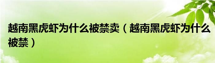 越南黑虎虾为什么被禁卖（越南黑虎虾为什么被禁）