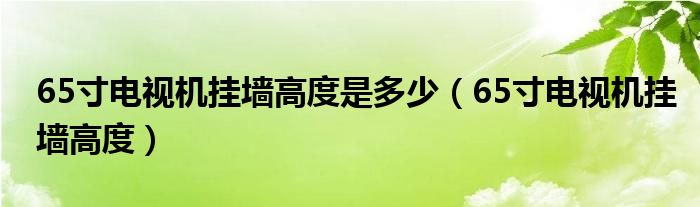 65寸电视机挂墙高度是多少（65寸电视机挂墙高度）