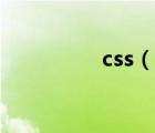 css（说一说css的简介）