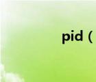 pid（说一说pid的简介）