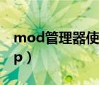 mod管理器使用教程（用mod管理器加载esp）