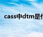 cass中dtm是什么意思（dtm是什么意思）