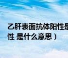 乙肝表面抗体阳性是什么意思是好还是坏（乙肝表面抗体阳性 是什么意思）