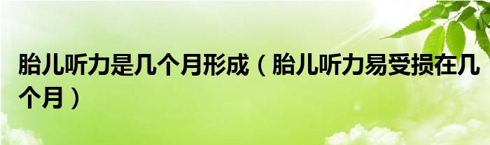 胎儿听力是几个月形成（胎儿听力易受损在几个月）