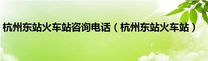 杭州东站火车站咨询电话（杭州东站火车站）