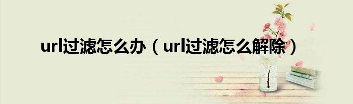 url过滤怎么办（url过滤怎么解除）