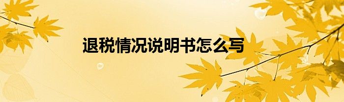 退税情况说明书怎么写