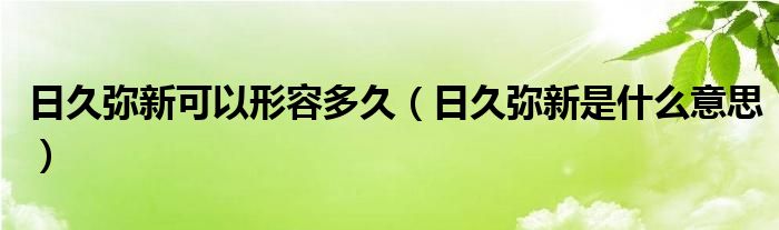 日久弥新可以形容多久（日久弥新是什么意思）