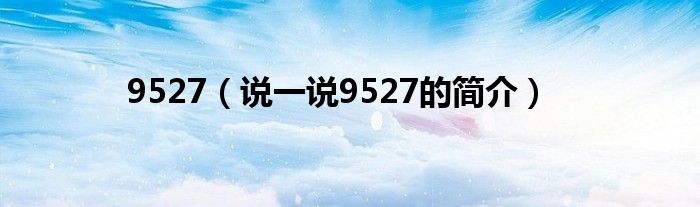 9527（说一说9527的简介）