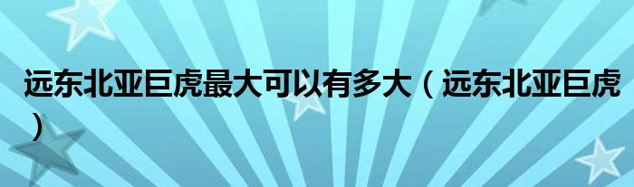 远东北亚巨虎最大可以有多大（远东北亚巨虎）