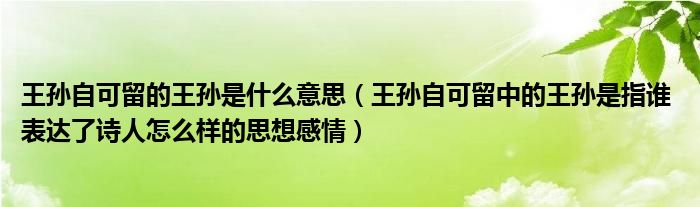 王孙自可留的王孙是什么意思（王孙自可留中的王孙是指谁 表达了诗人怎么样的思想感情）