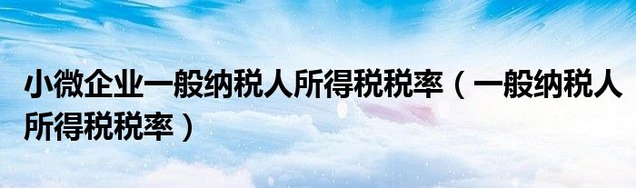 小微企业一般纳税人所得税税率（一般纳税人所得税税率）