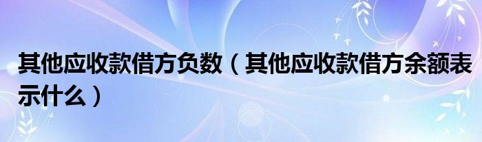 其他应收款借方负数（其他应收款借方余额表示什么）