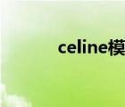 celine模特介绍（celine模特）