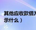 其他应收款借方负数（其他应收款借方余额表示什么）