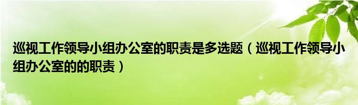 巡视工作领导小组办公室的职责是多选题（巡视工作领导小组办公室的的职责）