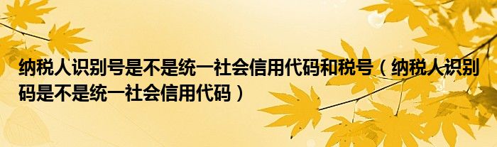 纳税人识别号是不是统一社会信用代码和税号（纳税人识别码是不是统一社会信用代码）