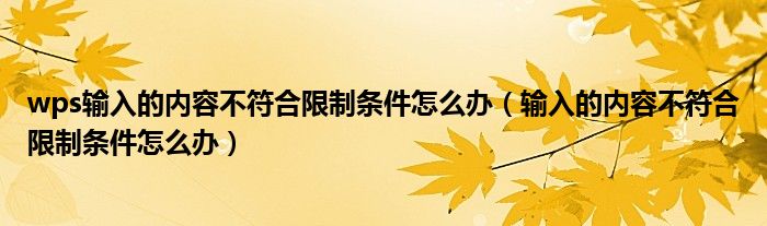 wps输入的内容不符合限制条件怎么办（输入的内容不符合限制条件怎么办）