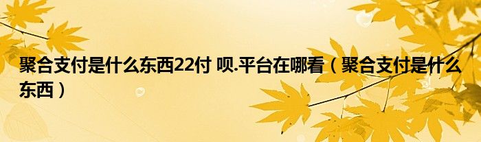 聚合支付是什么东西22付 呗.平台在哪看（聚合支付是什么东西）