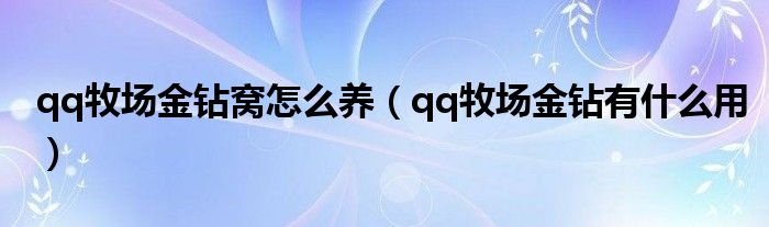 qq牧场金钻窝怎么养（qq牧场金钻有什么用）