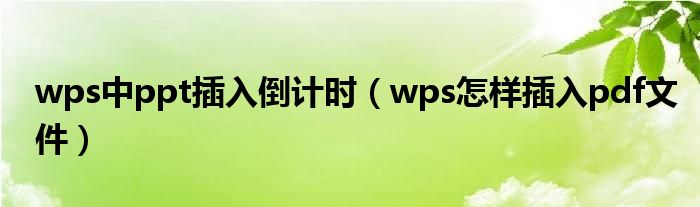 wps中ppt插入倒计时（wps怎样插入pdf文件）