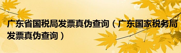 广东省国税局发票真伪查询（广东国家税务局发票真伪查询）