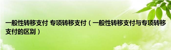 一般性转移支付 专项转移支付（一般性转移支付与专项转移支付的区别）